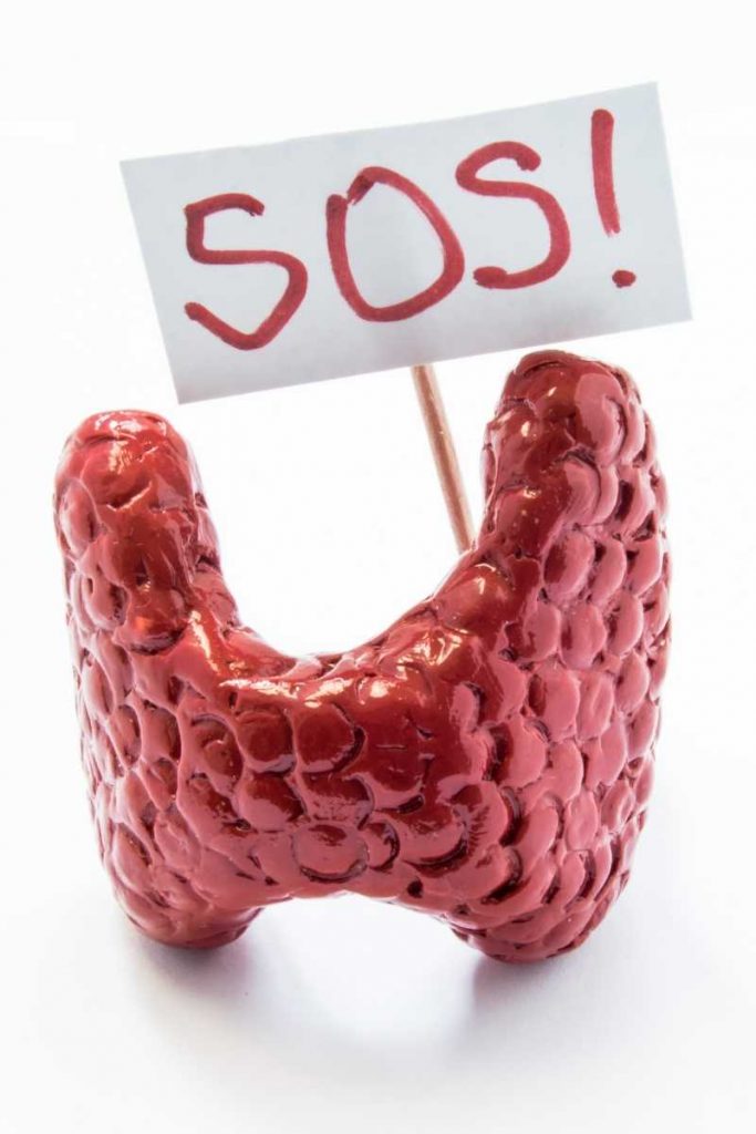 Dieta hipotiroidismo para bajar de peso 2 hipotiroidismo engorda 1